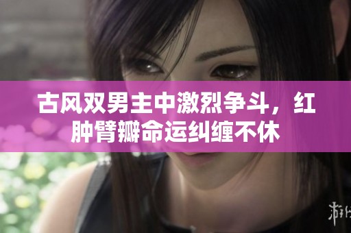 古风双男主中激烈争斗，红肿臂瓣命运纠缠不休