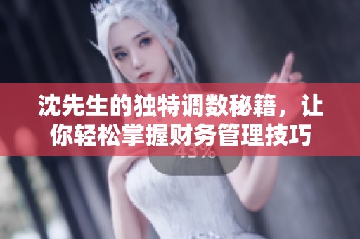沈先生的独特调数秘籍，让你轻松掌握财务管理技巧