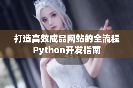 打造高效成品网站的全流程Python开发指南