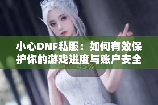 小心DNF私服：如何有效保护你的游戏进度与账户安全