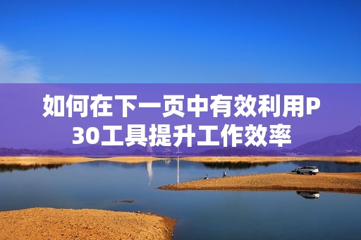 如何在下一页中有效利用P30工具提升工作效率