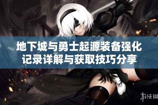 地下城与勇士起源装备强化记录详解与获取技巧分享