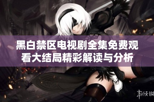 黑白禁区电视剧全集免费观看大结局精彩解读与分析