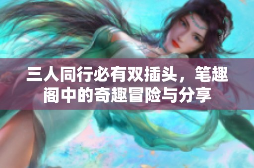 三人同行必有双插头，笔趣阁中的奇趣冒险与分享