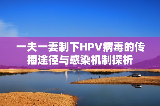 一夫一妻制下HPV病毒的传播途径与感染机制探析