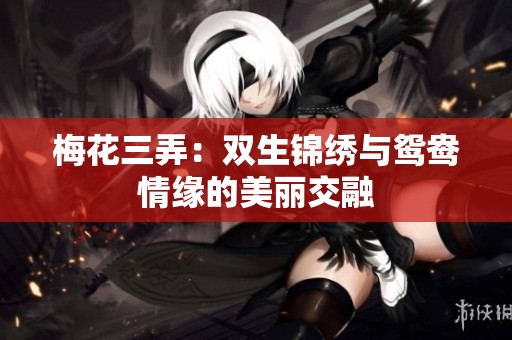 梅花三弄：双生锦绣与鸳鸯情缘的美丽交融