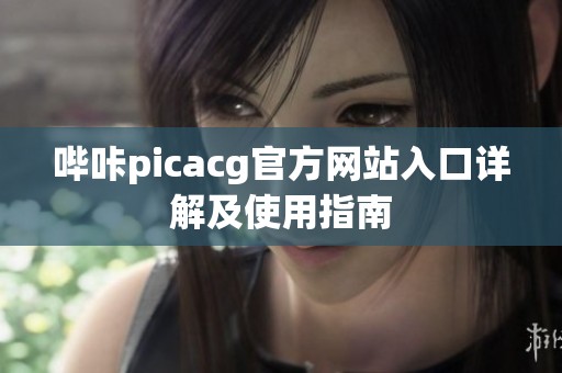 哔咔picacg官方网站入口详解及使用指南