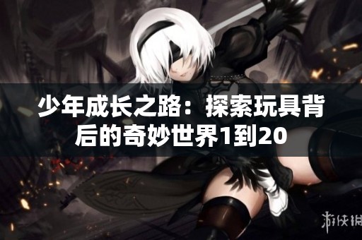 少年成长之路：探索玩具背后的奇妙世界1到20