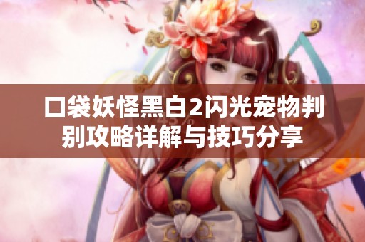 口袋妖怪黑白2闪光宠物判别攻略详解与技巧分享