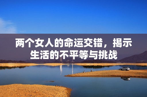 两个女人的命运交错，揭示生活的不平等与挑战