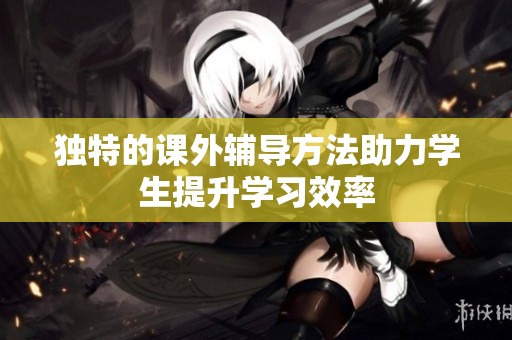 独特的课外辅导方法助力学生提升学习效率
