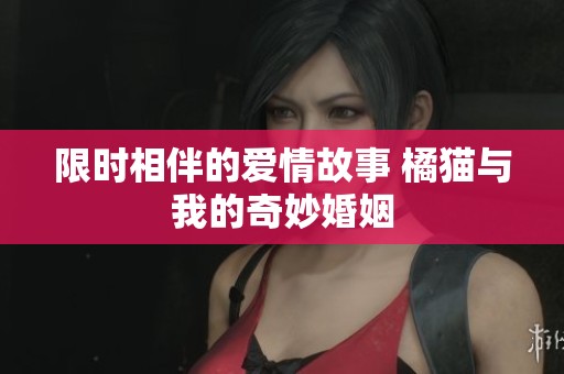 限时相伴的爱情故事 橘猫与我的奇妙婚姻