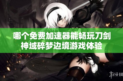哪个免费加速器能畅玩刀剑神域碎梦边境游戏体验