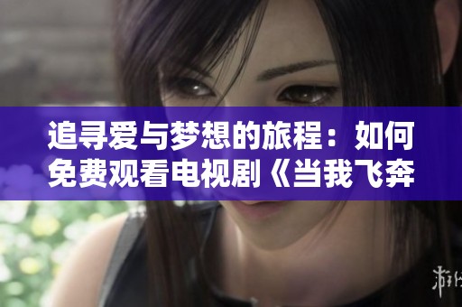 追寻爱与梦想的旅程：如何免费观看电视剧《当我飞奔向你》