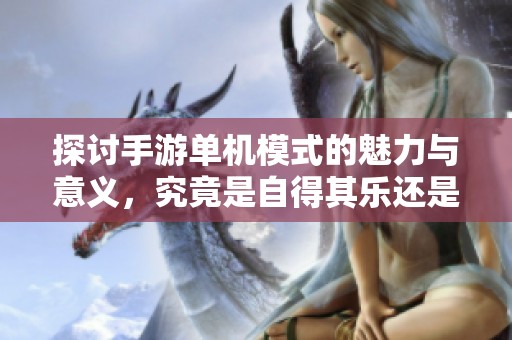 探讨手游单机模式的魅力与意义，究竟是自得其乐还是必不可少的体验