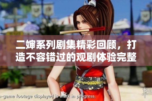 二婶系列剧集精彩回顾，打造不容错过的观剧体验完整版解读