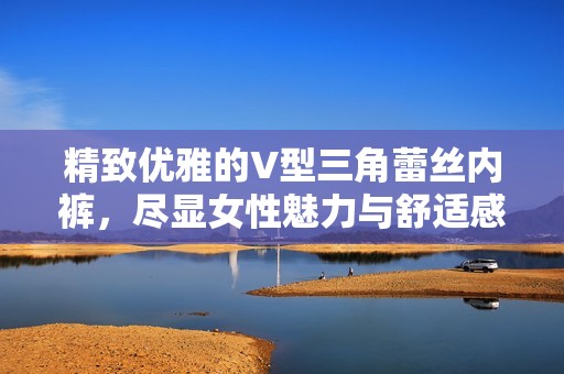 精致优雅的V型三角蕾丝内裤，尽显女性魅力与舒适感