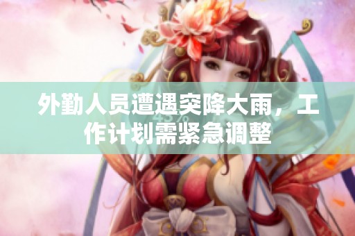 外勤人员遭遇突降大雨，工作计划需紧急调整