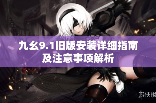 九幺9.1旧版安装详细指南及注意事项解析