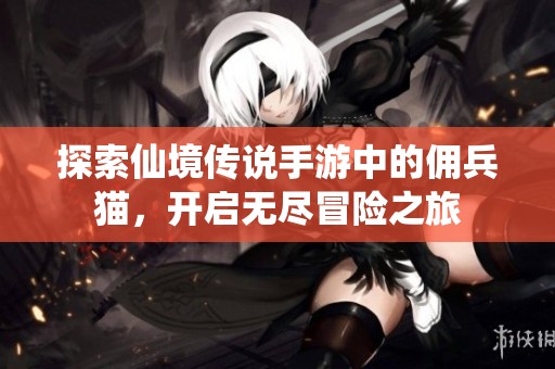 探索仙境传说手游中的佣兵猫，开启无尽冒险之旅