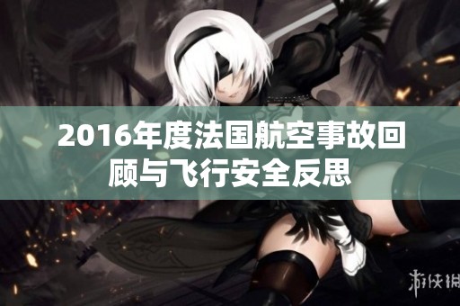 2016年度法国航空事故回顾与飞行安全反思
