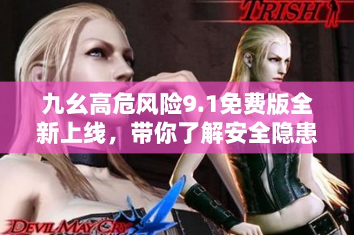 九幺高危风险9.1免费版全新上线，带你了解安全隐患！