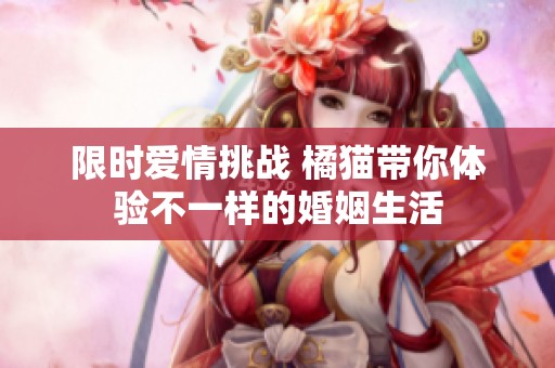 限时爱情挑战 橘猫带你体验不一样的婚姻生活