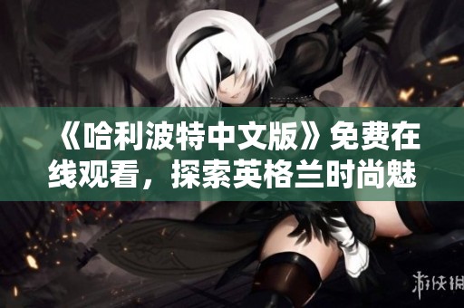《哈利波特中文版》免费在线观看，探索英格兰时尚魅力