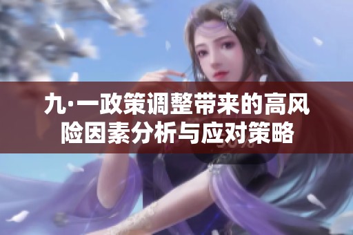 九·一政策调整带来的高风险因素分析与应对策略