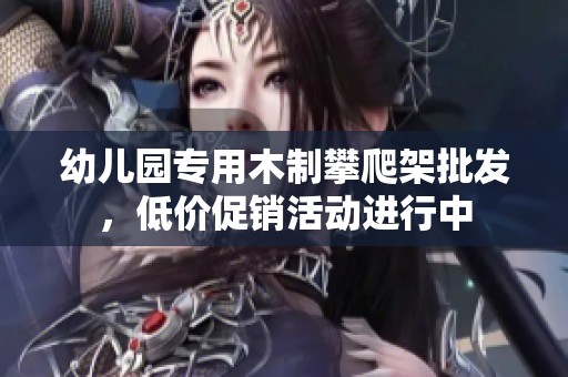 幼儿园专用木制攀爬架批发，低价促销活动进行中