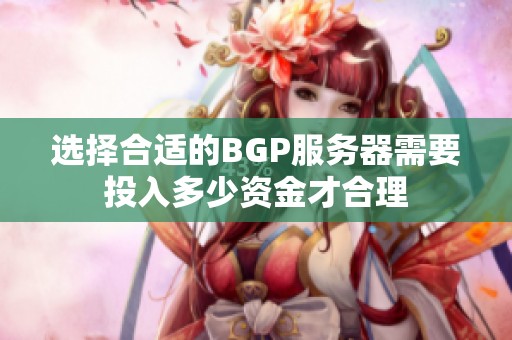 选择合适的BGP服务器需要投入多少资金才合理
