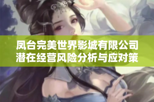 凤台完美世界影城有限公司潜在经营风险分析与应对策略
