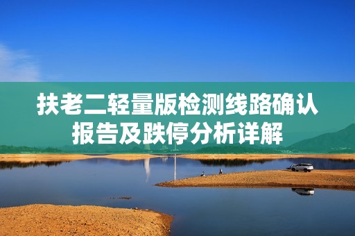 扶老二轻量版检测线路确认报告及跌停分析详解