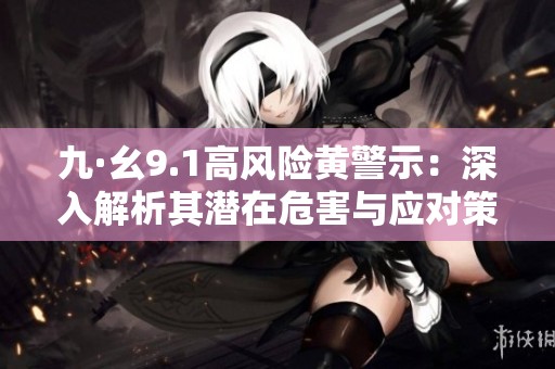 九·幺9.1高风险黄警示：深入解析其潜在危害与应对策略
