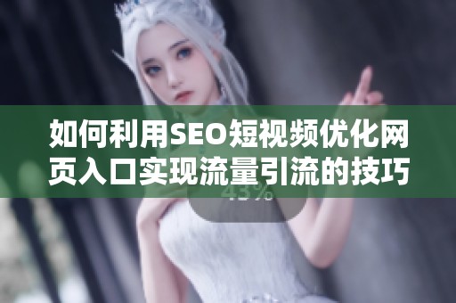 如何利用SEO短视频优化网页入口实现流量引流的技巧