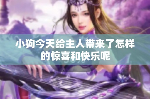 小狗今天给主人带来了怎样的惊喜和快乐呢