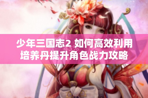 少年三国志2 如何高效利用培养丹提升角色战力攻略