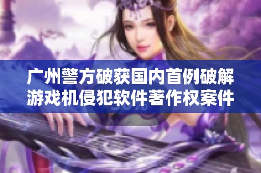 广州警方破获国内首例破解游戏机侵犯软件著作权案件