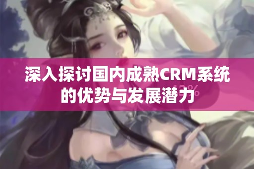 深入探讨国内成熟CRM系统的优势与发展潜力