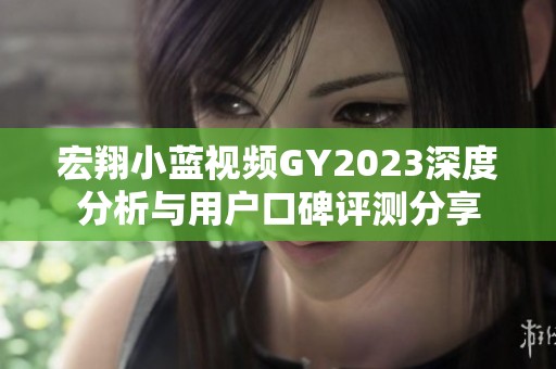宏翔小蓝视频GY2023深度分析与用户口碑评测分享
