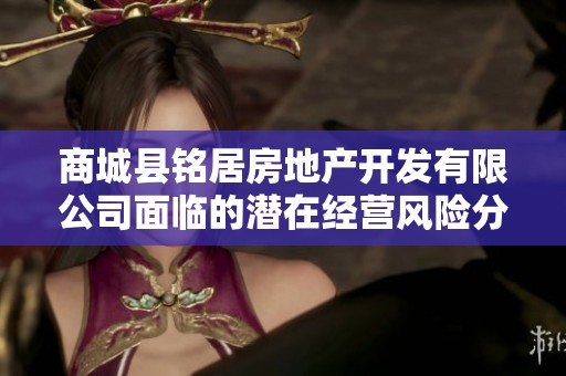 商城县铭居房地产开发有限公司面临的潜在经营风险分析与应对策略