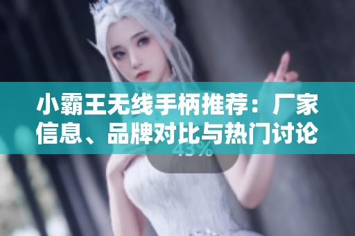小霸王无线手柄推荐：厂家信息、品牌对比与热门讨论汇总