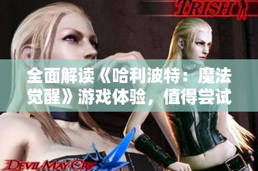 全面解读《哈利波特：魔法觉醒》游戏体验，值得尝试吗？