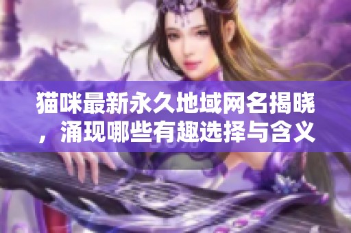 猫咪最新永久地域网名揭晓，涌现哪些有趣选择与含义