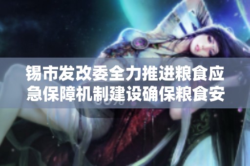 锡市发改委全力推进粮食应急保障机制建设确保粮食安全