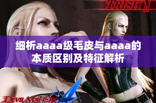 细析aaaa级毛皮与aaaa的本质区别及特征解析