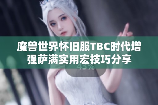 魔兽世界怀旧服TBC时代增强萨满实用宏技巧分享