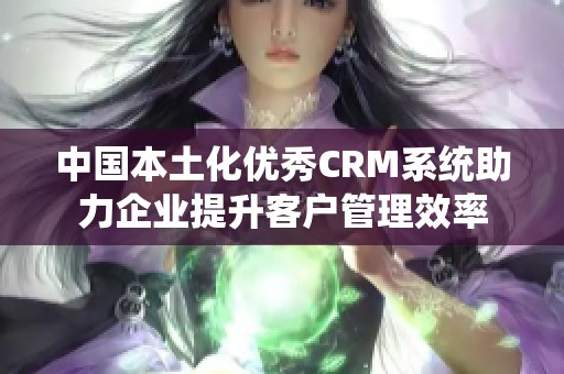 中国本土化优秀CRM系统助力企业提升客户管理效率