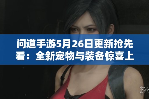 问道手游5月26日更新抢先看：全新宠物与装备惊喜上线