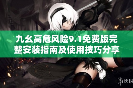 九幺高危风险9.1免费版完整安装指南及使用技巧分享